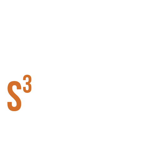 The Apex S3 Process